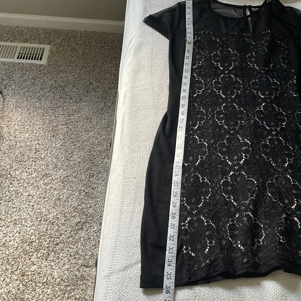 Julienne W   Sheer and Lacy Little Black Dress   Short Sleeves XL
